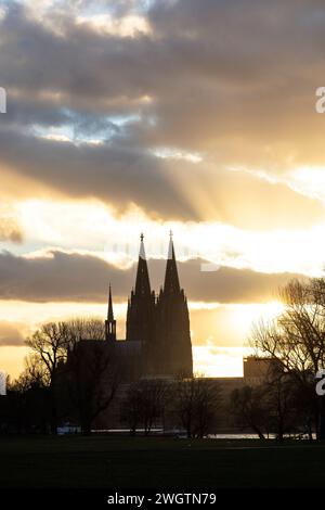 Blick vom Rheinpark im Stadtteil Deutz über den Rhein bis zum Dom, Köln. Blick vom Rheinpark in Deutz ueber den Rhein zu Stockfoto