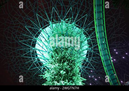 Ein beleuchteter Fußweg verbindet die berühmten Supertrees in den Gardens by the Bay, Marina, Singapur Stockfoto