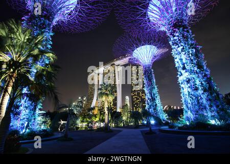 Nächtlicher Weitwinkelblick auf den Supertree-Komplex in den Gardens by the Bay, mit dem beleuchteten Marina Bay Sands Hotel im Hintergrund, Singapur Stockfoto