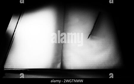 Journal und Federstift im Magoffin adobe Haus, El Paso, Texas Stockfoto