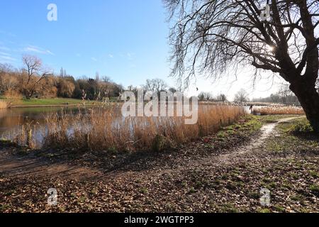 Ein eiskalter Tag auf dem Bootsee in Hampstead Heath im Norden Londons, Großbritannien Stockfoto