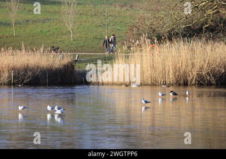 Ein eiskalter Tag auf dem Bootsee in Hampstead Heath im Norden Londons, Großbritannien Stockfoto