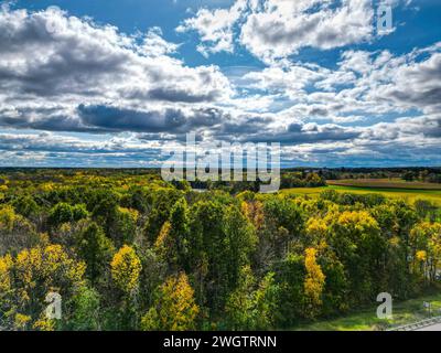 Ein Blick aus der Vogelperspektive auf Wald und Autobahn. Stockfoto