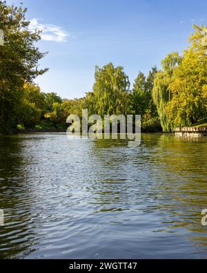 Landschaft am See Stockfoto