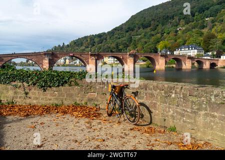 Spaziergang entlang des langen neckars Stockfoto