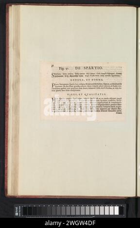 Abb. 30 'de Spartio' im Herbarium der Bücher von 1640, Anselmus Boëtius de Boodt, 1640 Textblatt Beschrijving bij Abb. 30 op. 58 in: Anselm Boët de Boot I. C. Brugensis & Rodolphi 2. Imp. Roman. Arzte aus den Schlafzimmern von Blumen, Kräutern und Früchten von selectior Icons, und die Stärke des Unbekannten. Onderdeel van het Album Met Bladen en platen verschickt de Boodts Herbarium van 1640. Het twaalfde van twaalf Alben Met Aquarellen van dieren, vogels en planten bekend Rond 1600, gemaakt in Opdracht van Keizer Rudolf 2. Gebrauchtes Papier. Tintendruck im Buchdruck Stockfoto