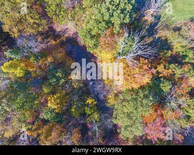 Luftfahrt Top Down Autumn Forest and Stream im Hathaway Preserve, Indiana Stockfoto