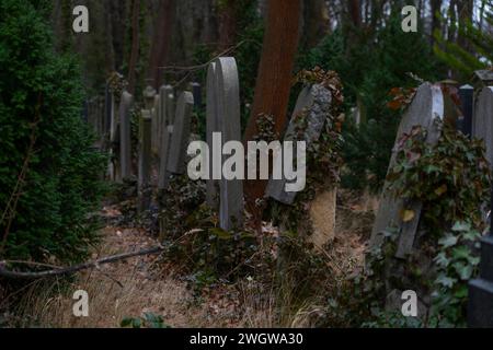 Gräber auf dem 1880 angelegten, 42 Hektar großer Jüdischer Friedhof in Berlin-Weißensee. Mit seinen 116000 Grabstellen ist er der flächenmäßi größte jüdische Friedhof in Europa.. Der Friedhof steht unter Denkmalschutz. *** Gräber auf dem 42 ha großen jüdischen Friedhof in Berlin Weißensee, der 1880 mit seinen 116.000 Gräbern errichtet wurde, ist er flächenmäßig der größte jüdische Friedhof Europas der Friedhof ist denkmalgeschützt Stockfoto