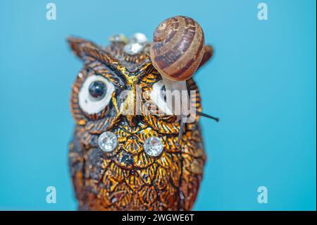 Schnecke auf einer Eulenfigur. Stockfoto