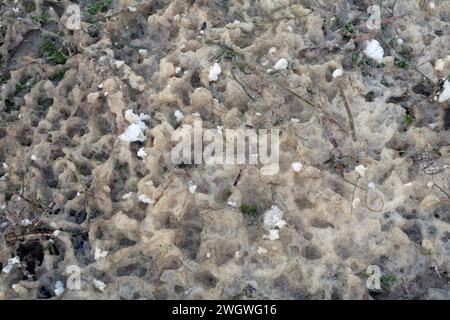 Muster in Sand, Eis, Holz, Stein Stockfoto