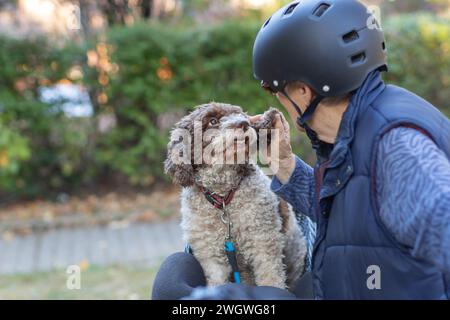 Eine ältere Frau und ihr Hund auf dem Fahrrad Stockfoto