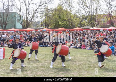 Buenos Aires, Argentinien - 3. Februar 2024: Japanische Mädchen und Jungs tanzen mit Schlagzeug. EISA (japanischer Tanz mit Schlagzeug) in Varela Matsuri. Stockfoto