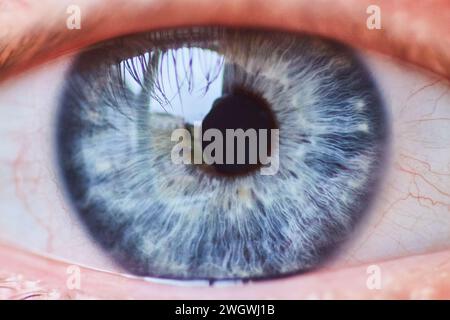 Blaues und graues Iris-Makro mit Wimpern und Blutgefässen Stockfoto