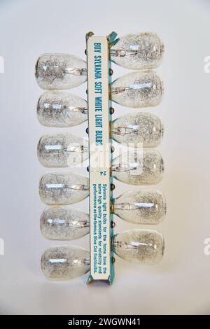 Weiche weiße Glühlampen in Verpackung, Studio Shot Stockfoto