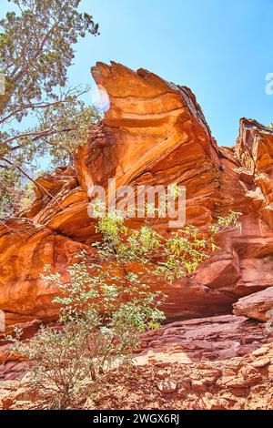 Red Rock Majesty in der Wüste Sedona mit üppiger Vegetation und Blue Sky Stockfoto