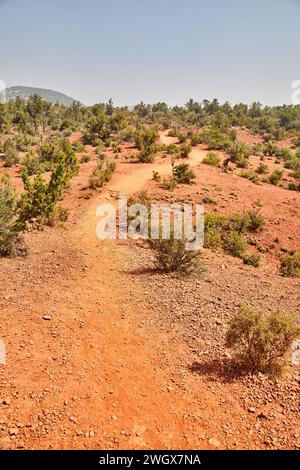 Sedona Desert Trail mit rötlichem Gelände und spärlicher Vegetation Stockfoto
