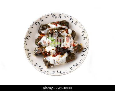 Gefülltes Blattkohl mit gekochten Blättern, traditionelle türkische Schwarzmeerspezialitäten, Sarma, Dolma (türkischer Name; Kara lahana sarmasi) Stockfoto