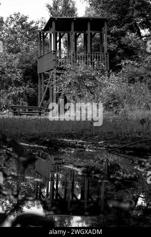 Schwarzweiß-Reflexion Stockfoto