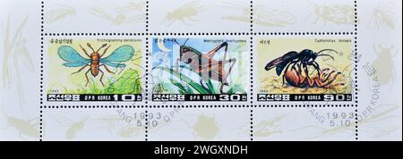 Block mit gestempelten Briefmarken, gedruckt von Nordkorea, die Insekten 1993 Minibogen zeigen, um 1993. Stockfoto