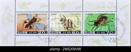 Block mit gestempelten Briefmarken, gedruckt von Nordkorea, die Insekten 1993 Minibogen zeigen, um 1993. Stockfoto