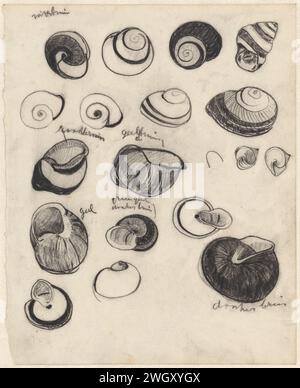 Arbeitsblatt mit Muscheln, Theo Nieuwenhuis, Zeichenpapier 1876 - 1951. KreideWeichtiere (+ Muscheln, Schneckenschalen usw.) Stockfoto