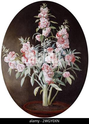 Zugeschrieben von Johan Joseph Zoffany (Frankfurt 1733-London 1810) - A Balsam Stockfoto