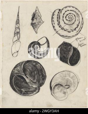 Arbeitsblatt mit Muscheln, Theo Nieuwenhuis, Zeichenpapier 1876 - 1951. KreideWeichtiere (+ Muscheln, Schneckenschalen usw.) Stockfoto