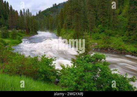 Payette River Idaho Stockfoto