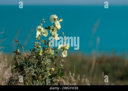 Schöner Sewan-See inmitten der malerischen Berge des sonnigen Armeniens Stockfoto