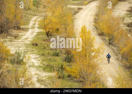 Ein Radfahrer auf einem unbefestigten Fahrrad, der eine Route auf einem unbefestigten Weg macht, umgeben von niedrigen Bäumen Stockfoto