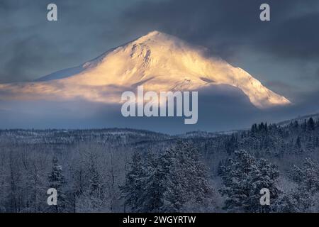 Schneebedeckter Marfjellet-Berg über norwegischem Nadelwald im Winter bei Olsborg, Troms og Finnmark, Norwegen Stockfoto