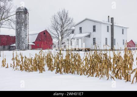 Amish Farmhouse und Scheune im Winter in Mecosta County, Michigan, USA [keine Freigabe der Immobilie; nur redaktionelle Lizenzierung] Stockfoto