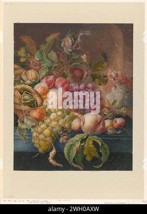 Fruitstilleven, Herman Henstenburgh (evtl.), nach Anonym, 1677–1726 Zeichnung Pergament (Tiermaterial). Deckfarbe. Gouache (Farbe) Stillleben von Pflanzen, Blumen und Früchten. Hund Stockfoto