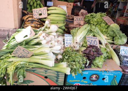 Die Marktstände rund um den Mercado Central in Chile bieten eine lebhafte Auswahl an Waren, darunter frisches Obst und Gemüse. Stockfoto