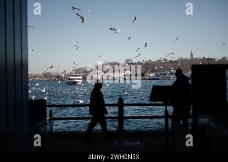 Istanbul, Türkei. Februar 2024. Möwen in Hülle und Fülle in der Nähe der Galata-Brücke im Zentrum von Istanbul. Quelle: SOPA Images Limited/Alamy Live News Stockfoto