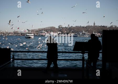 Istanbul, Türkei. Februar 2024. Möwen in Hülle und Fülle in der Nähe der Galata-Brücke im Zentrum von Istanbul. Quelle: SOPA Images Limited/Alamy Live News Stockfoto