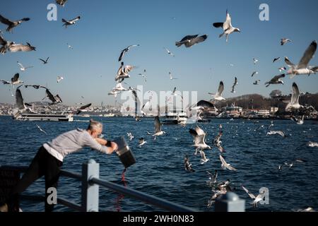 Istanbul, Türkei. Februar 2024. Möwen in Hülle und Fülle in der Nähe der Galata-Brücke im Zentrum von Istanbul. Quelle: SOPA Images Limited/Alamy Live News Stockfoto