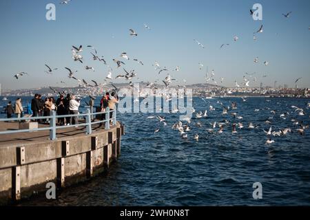 Istanbul, Türkei. Februar 2024. Möwen in Hülle und Fülle in der Nähe der Galata-Brücke im Zentrum von Istanbul. Quelle: SOPA Images Limited/Alamy Live News Stockfoto