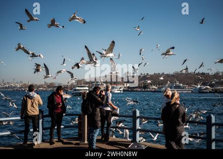 Istanbul, Türkei. Februar 2024. Möwen in Hülle und Fülle in der Nähe der Galata-Brücke im Zentrum von Istanbul. Quelle: SOPA Images Limited/Alamy Live News Stockfoto