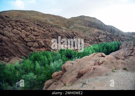 Wunderschöne Landschaften in Dadès Gorges in Marokko. Stockfoto