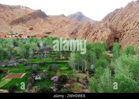 Wunderschöne Landschaften in Dadès Gorges in Marokko. Stockfoto