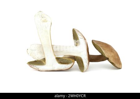 Penny Bun oder Boletus edulis, Pilz isoliert auf weißem Hintergrund, essbar und kann auch als medizinische Pilze verwendet werden Stockfoto