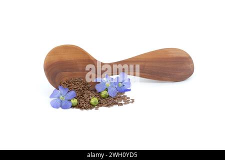 Holzlöffel gefüllt mit kleinen braunen Leinsamen und einer blauen Leinpflanze blüht neben Leinsamen-Früchten runde Kapseln isoliert auf weißem Hintergrund Stockfoto
