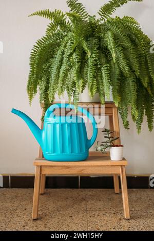 Leuchtend blaue Gießkanne auf einem Holzhocker mit Pflanzen Stockfoto