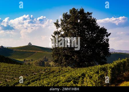 Fantastische Landschaft über den Weinbergen in den piemontesischen Hügeln der Langhe Stockfoto