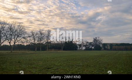 Felder und Wiesen in der Nähe von Arles (Frankreich) an einem bewölkten Morgen im Winter Stockfoto