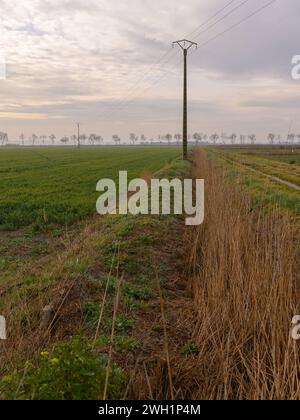 Felder und Wiesen in der Nähe von Arles France an einem bewölkten Morgen im Winter Arles France Stockfoto