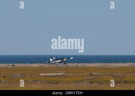 Ein DeHaviland Beaver, im Besitz von Coyote Air an einer Kiesbar neben dem beaufort Meer und alaska USA. Stockfoto