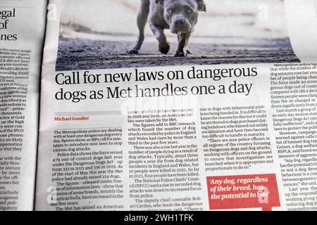 "Call for New Laws on Dangerous Dogs as Met Handles One a Day", titelte die Zeitung The Guardian mit amerikanischen Tyrannen, Tyrannen, Hund artikel 5 Februar 2024 London Stockfoto