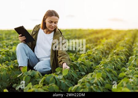 Moderne Agrarwirtschaft. Landwirtin mit digitaler Tablette untersucht und prüft grüne Blätter von Sojabohnenpflanzen auf dem Feld. Agronomist kontrolliert Wachstum und Stockfoto